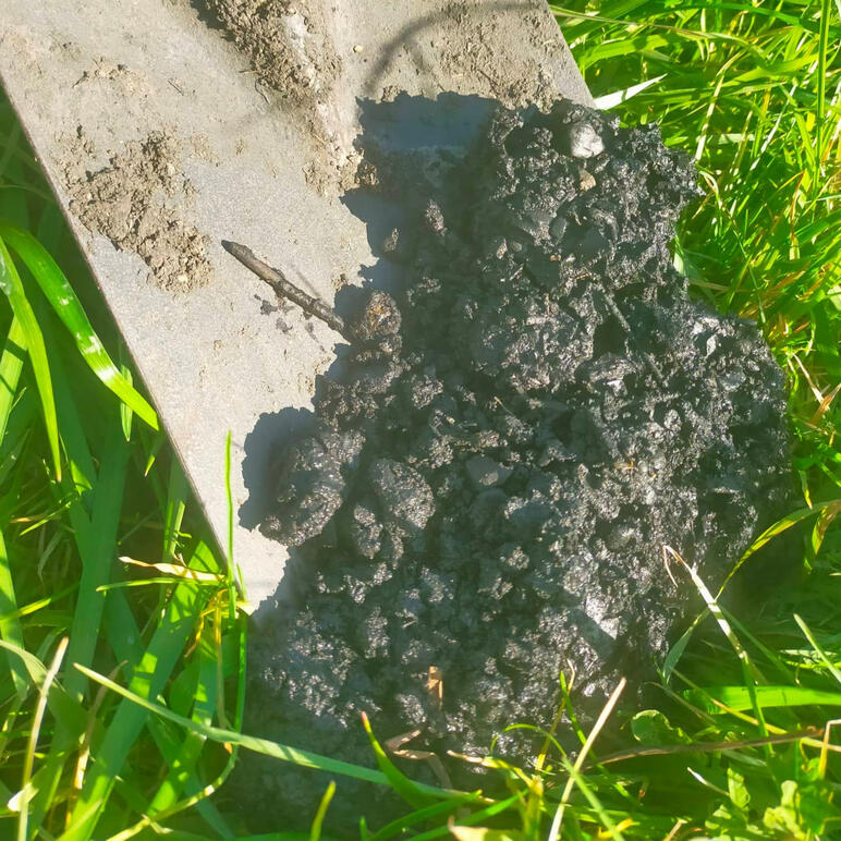 Raw Biochar
